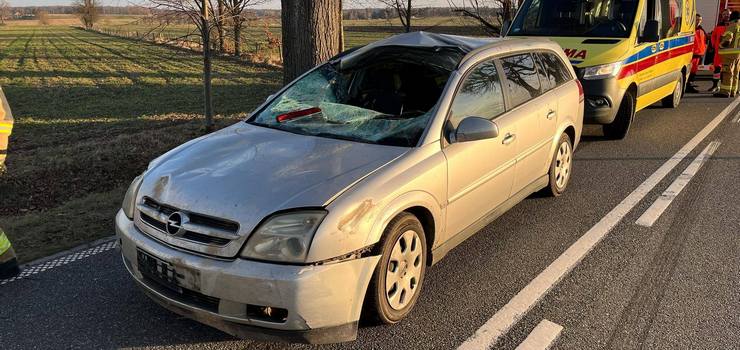 Zderzenie z łosiem. Cztery osoby trafiły do szpitala