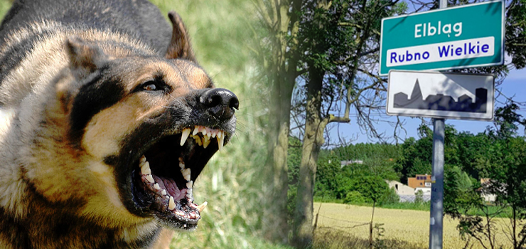 „Kto, po dekadzie prób rozwiązania problemu będzie ponosił odpowiedzialność za skutki wypadku?"