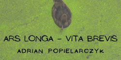 Wernisa wystawy „Ars longa – vita brevis” w Bibliotece Akademii Nauk Stosowanych