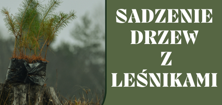 Sadzenie drzew z leśnikami