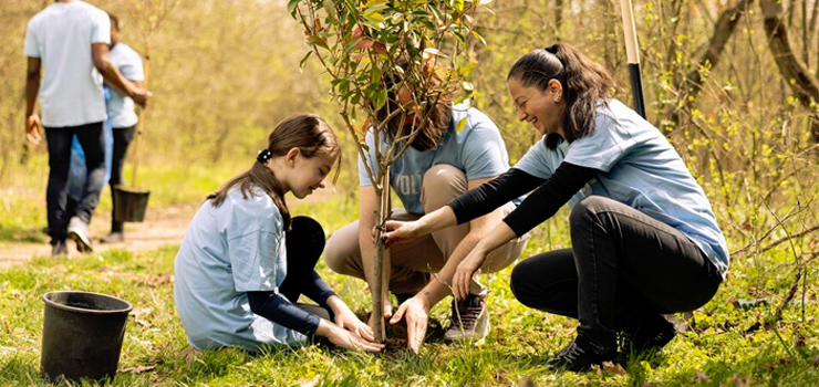 Nasadzenia drzew przy ul. Skrzydlatej