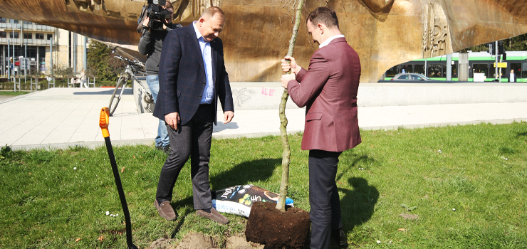 Przy pomniku Odrodzenia posadzono 40 buków. "Nie wyobraziłbym sobie lepszej akcji na 40-lecie Wysoczyzny Elbląskiej"