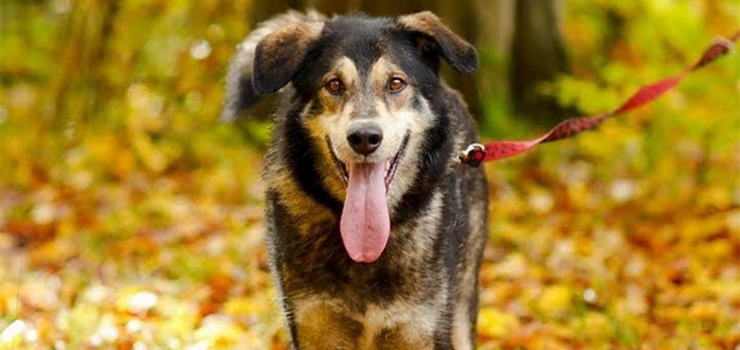 Vermont - idealny facet dla każdej dziewczyny, silny i delikatny zarazem!