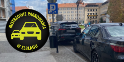Artykuł
