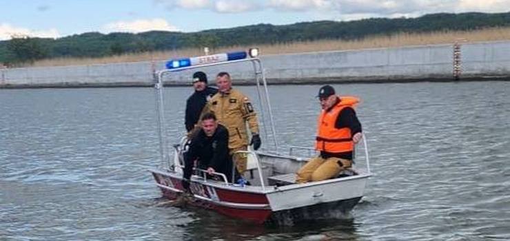 Jelonek wpad do rzeki Elblg. Z pomoc ruszyli straacy i patrol wodny