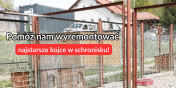 Elblskie schronisko apeluje: Pom nam wyremontowa najstarsze kojce!
