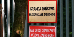 Artykuł