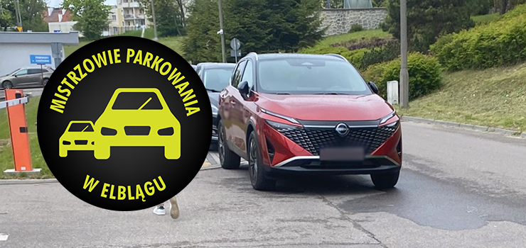 Mistrzowie Parkowania w Elblgu (cz 389)