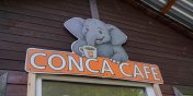 Conca Cafe ju otwarta! (galeria)