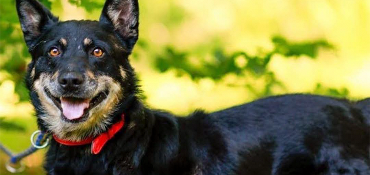 Froid - łagodny, przesympatyczny, a nadal za kratami