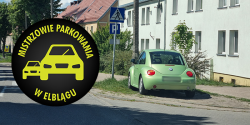 Artyku