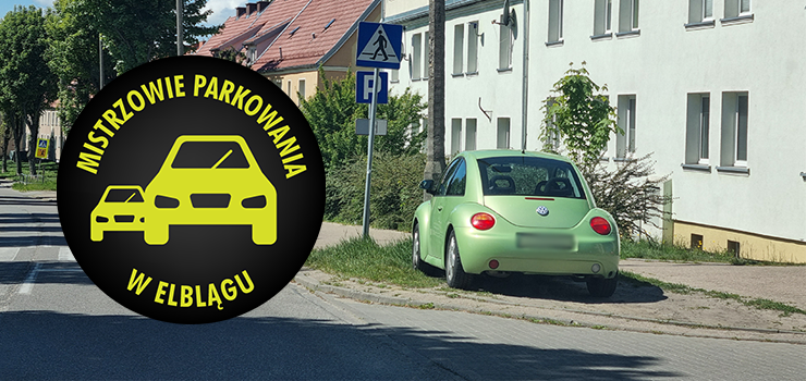 Mistrzowie Parkowania w Elblgu (cz 390)