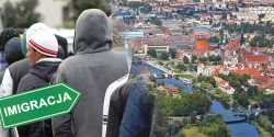 Artykuł