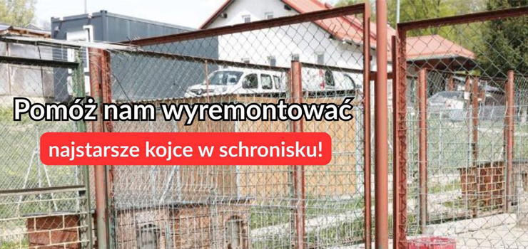 Zbirka na remont najstarszych kojcw w schronisku!