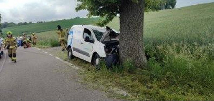 Auto dostawcze wjechao w drzewo. „34-latek najprawdopodobniej zasn w czasie jazdy”