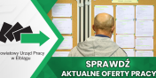 Aktualne Oferty Pracy