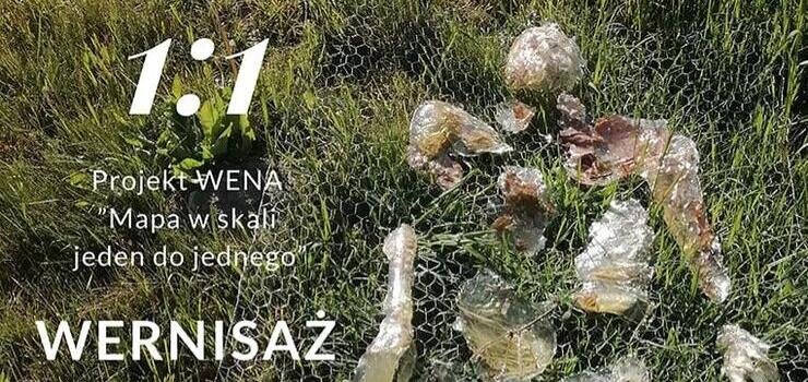 1:1 WENA - zapraszamy