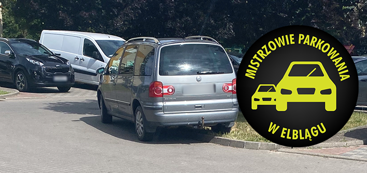 Mistrzowie Parkowania w Elblgu (cz 403)