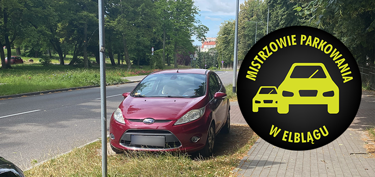 Mistrzowie Parkowania w Elblgu (cz 404)