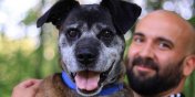 Uzo - rezolutny starszy pan poleca się do adopcji!