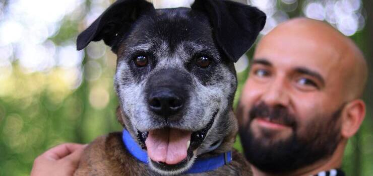 Uzo - rezolutny starszy pan poleca się do adopcji!