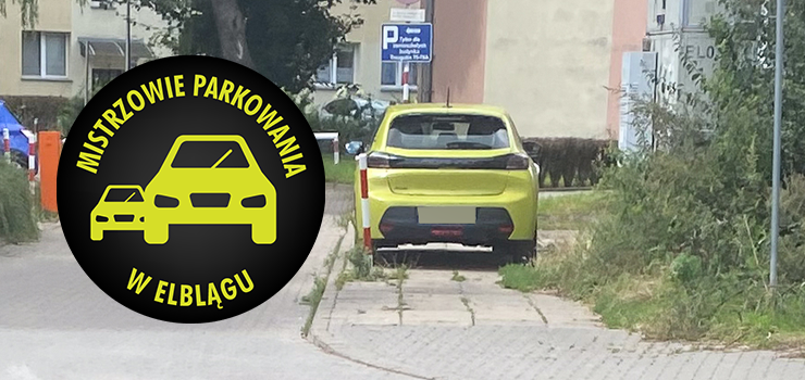 Mistrzowie Parkowania w Elblgu (cz 408)