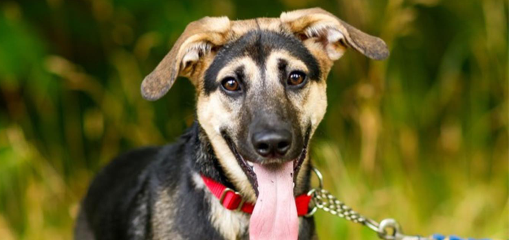 Sonia - kolejna ofiara nieprzemyślanych decyzji