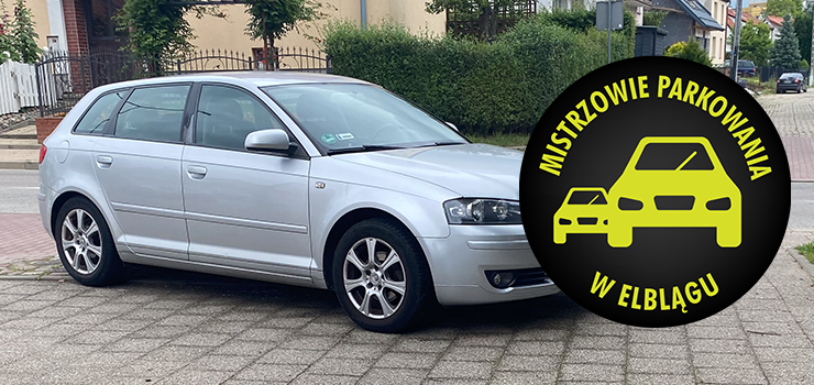 Mistrzowie Parkowania w Elblągu (część 411)