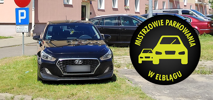 Mistrzowie Parkowania w Elblągu (część 413)