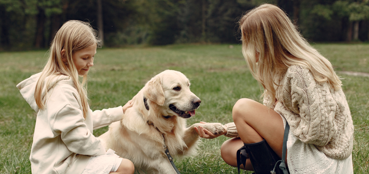 Warmińsko-mazurska nagroda przyjaciela zwierząt
