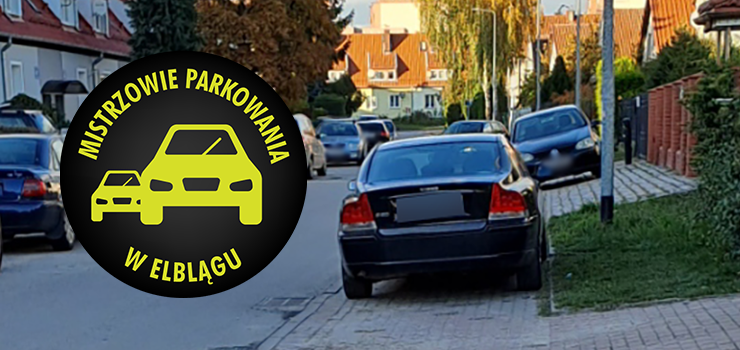 Mistrzowie Parkowania w Elblgu (cz 418)