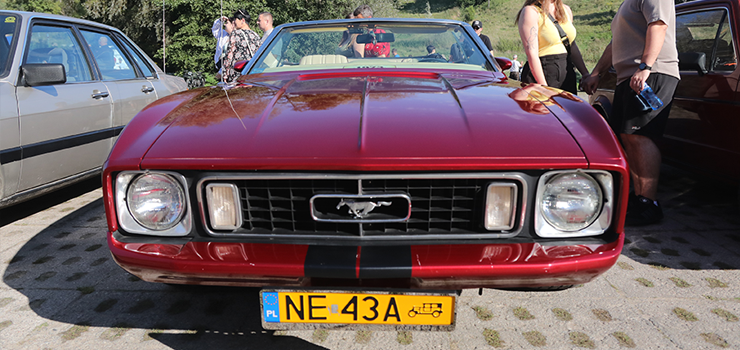 Elblg: Klasyki motoryzacji znw pod Gr Chrobrego (zdjcia)