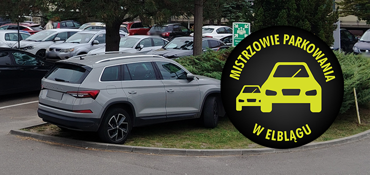 Mistrzowie Parkowania w Elblągu (część 423)