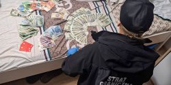 Nielegalny biznes Ukraicw zlikwidowany przez Stra Graniczn