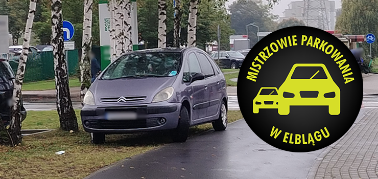 Mistrzowie Parkowania w Elblgu (cz 425)