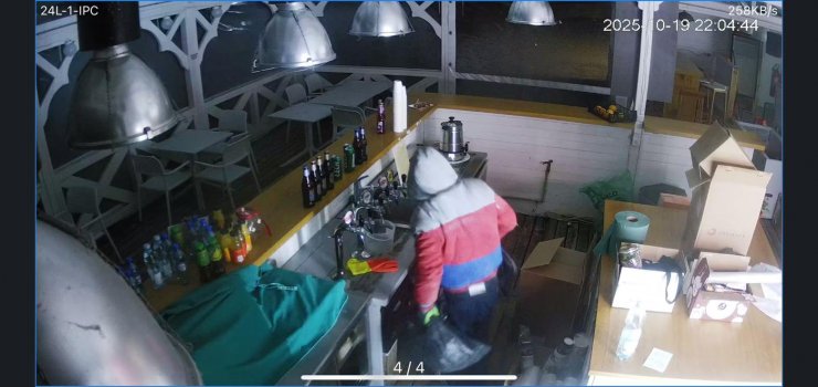 Ukradł figurkę dzika w Krynicy Morskiej. Został zatrzymany przez policję