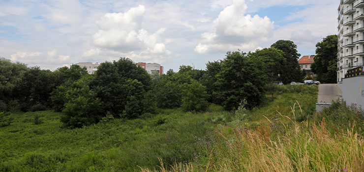 Elbląg: Inwestycja na działce za 8 mln zł. Na jakim etapie jest przedsięwzięcie?