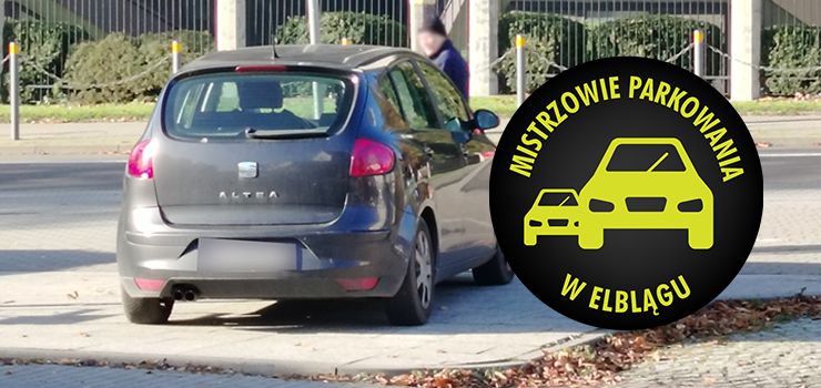 Mistrzowie Parkowania w Elblgu (cz 428)