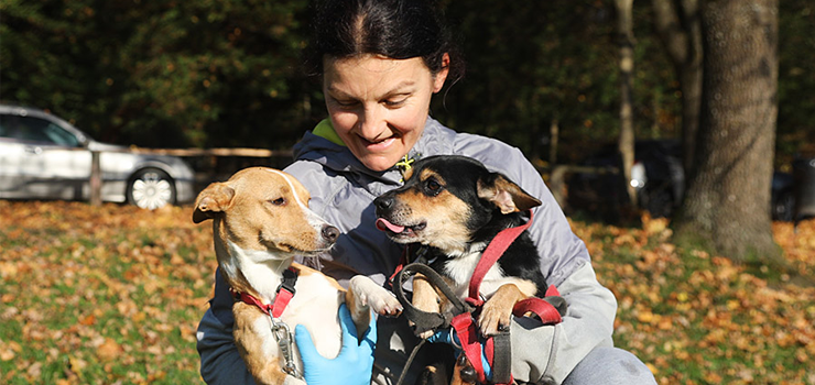 Wolontariusze przemierzyli z czworonogami 5km. Za nami Bieg na 6 ap