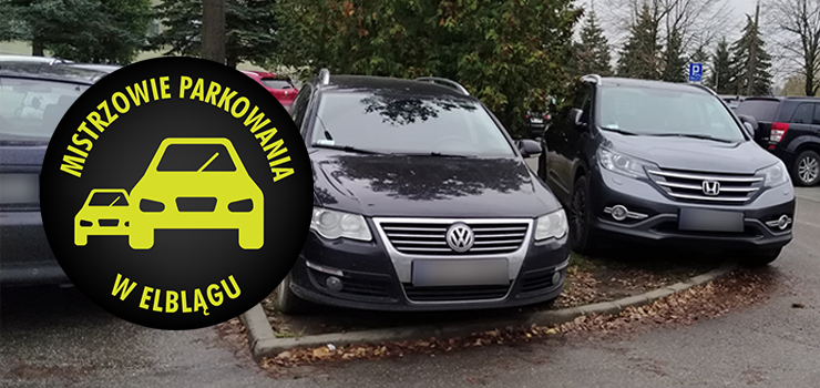 Mistrzowie Parkowania w Elblgu (cz 430)