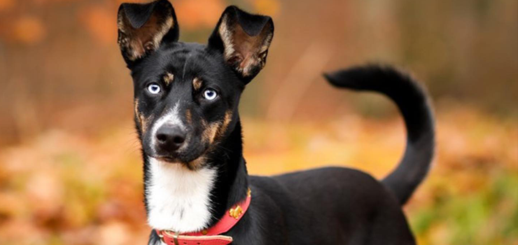 Zakochaj się w tych hipnotyzujących oczach