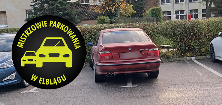 Mistrzowie Parkowania w Elblgu (cz 433)