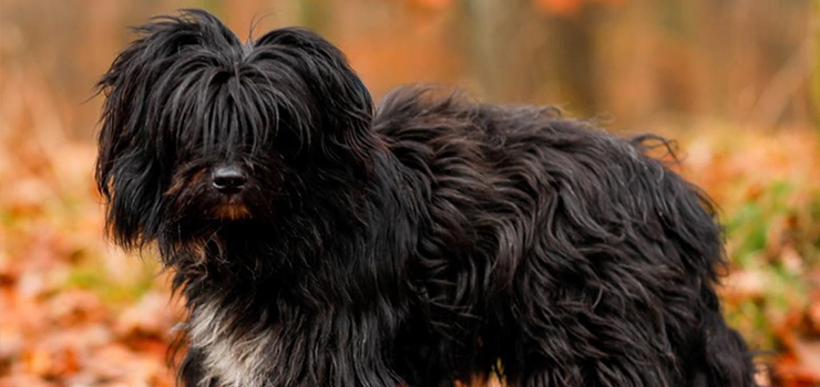 Oto jest… Dundersztyc