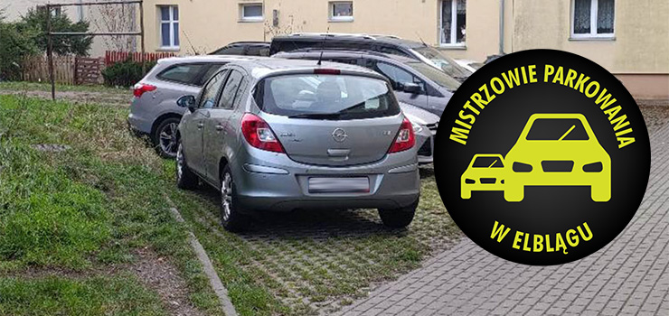 Mistrzowie Parkowania w Elblągu (część 436)