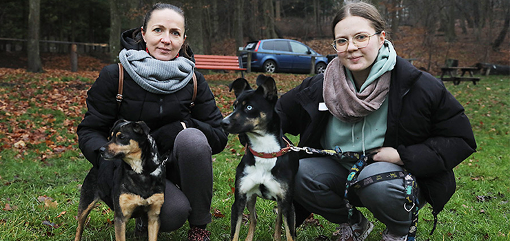 Za nami Mikoajkowy Bieg na 6 ap - zobacz zdjcia
