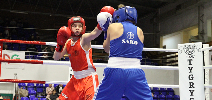 Za nami Mikoajkowy Turniej Tygrysa. Gociem specjalnym Dariusz Michalczewski (zobacz zdjcia)