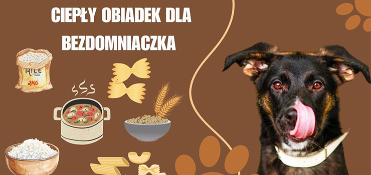 CIEPŁY OBIADEK DLA BEZDOMNIACZKA