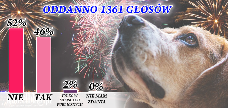 Mieszkacy Elblga podzieleni w sprawie zakazu fajerwerkw. Wyniki ankiety INFO!