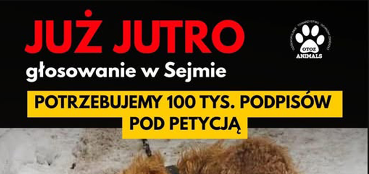 Pomóż wyrzucić weto i łańcuchy do kosza