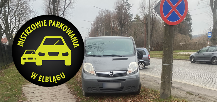 Mistrzowie Parkowania w Elblągu (część 441)